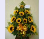 Fotos de Floristeria Los Zarcillos