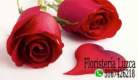 Fotos de Floristeria Luzca En Cali