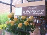 Fotos de Floristeria Madremonte