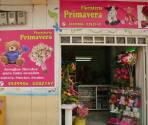 Fotos de Floristería Primavera