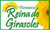 Fotos de Floristeria Reina De Girasoles