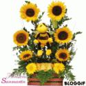 Fotos de Floristería Sanmartin