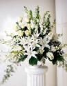 Fotos de Floristeria Slendy