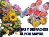 Fotos de Floristeria Y Distribuidora Gloria Forero