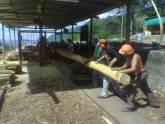 Fotos de Forestalcoop