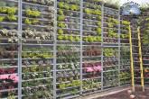 Fotos de Formas Estructuras Y Accesorios En Plastico