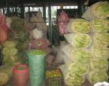 Fotos de Frutas Y Verduras Benito