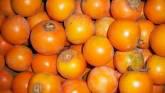 Fotos de Frutas Y Verduras Vargas