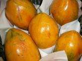 Fotos de Frutera A.f.a.b