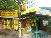 Fotos de Fruteria El Gordo***