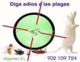 Fotos de Fumicafetero Tecnico