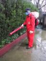 Fotos de Fumigaciones El Avispon