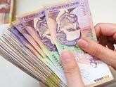 Fotos de Gana Dinero Con Probux