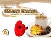 Fotos de Gano Excel Palmira V