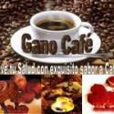 Fotos de Ganocafe In
