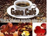 Fotos de Ganoderma Testimonio En Salud Y Prosperidad