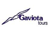 Gaviota Tours Ltda