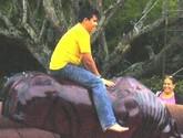 Fotos de Gran Safari Eventos Jamundi Valle Del Cauca