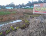 Fotos de Granja Avicola Superpollo
