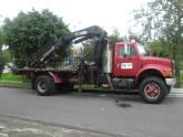 Fotos de Gruas Moritas