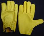 Fotos de Guantes Tayrona & Cia Ltda