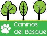 Fotos de Guarderia Canina-Caninos Del Bosque