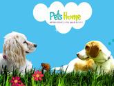 Fotos de Guarderia Canina Pets Home