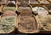 Fotos de Hierbas Y Productos  Naturales