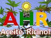 Fotos de Higuerilla Ahr