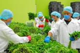 Fotos de Hipermercados De Campo Colombiano