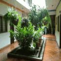 Fotos de Hotel Monteblanco - Hotel Escuela
