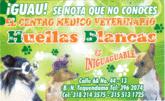 Fotos de Huellas Blancas