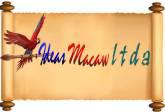 Fotos de Ideas Macaw