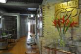 Fotos de Instituto Piel Renaissence