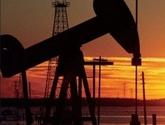 Fotos de Inversiones Pozos Colorados Y Cia Sas