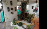 Fotos de Jardin Andaluz