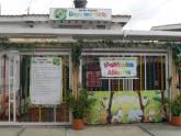 Fotos de Jardin Infantil Boys And Girls
