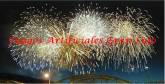 Fotos de Juegos Artificiales Gran Lujo