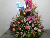 Fotos de La Flor De Guadalupe