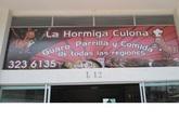 La Hormiga Culona