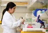Laboratorio Clinico Guajira