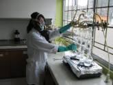 Fotos de Laboratorios Guadalupe Ltda