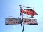 Fotos de Lagos De Pesca Cutucumay