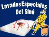 Fotos de Lavados Especiales Del Sinu - Lavasinu