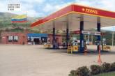 Fotos de Los Canaguaros
