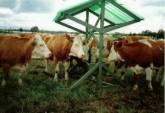 Fotos de Maderas Plásticas De Urabá