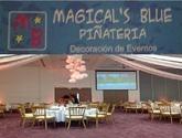 Fotos de Magical S Blue