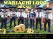 Mariachi Loco De Cali