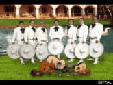 Fotos de Mariachi Nacional Aguilas Huastecas