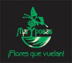 Fotos de Mariposas:¡flores Que Vuelan!